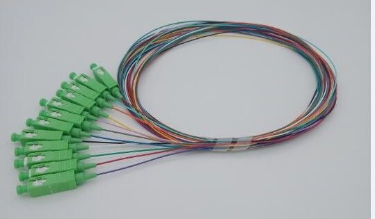 SC/APC 12 색깔 광섬유 떠꺼머리 코닝 섬유 단 하나 모형